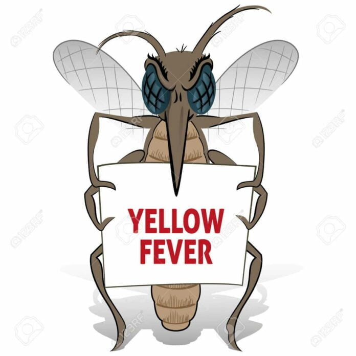 Mosquito stilt holding poster yellow fever Ideal for informational Stock Photo