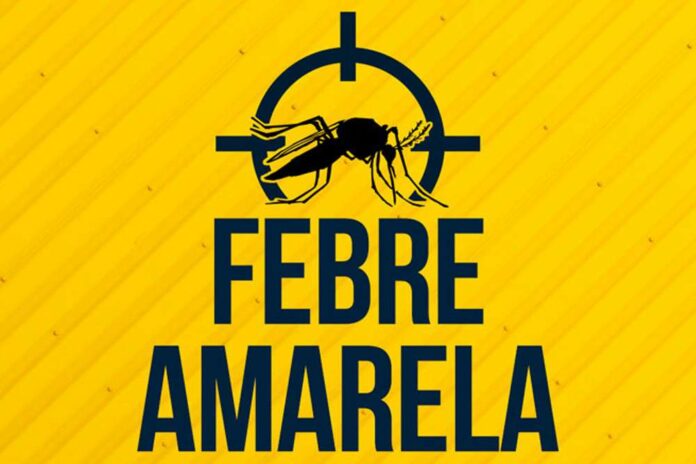 FEBREEEE
