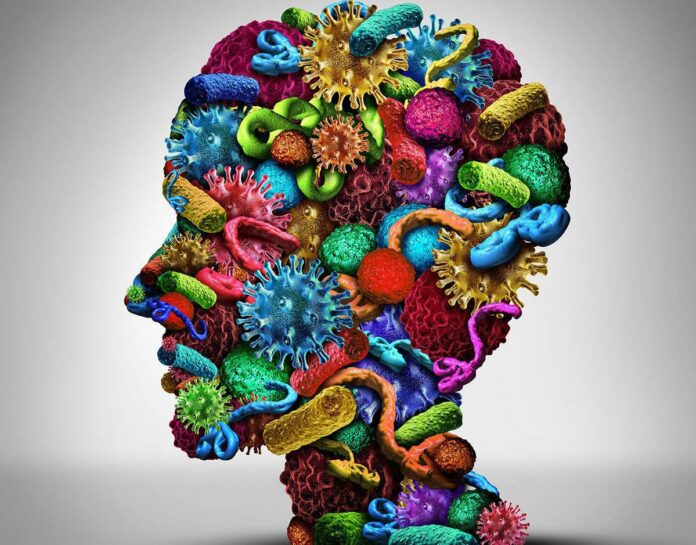 tecnologia-holobionte-microorganismos-bacterias